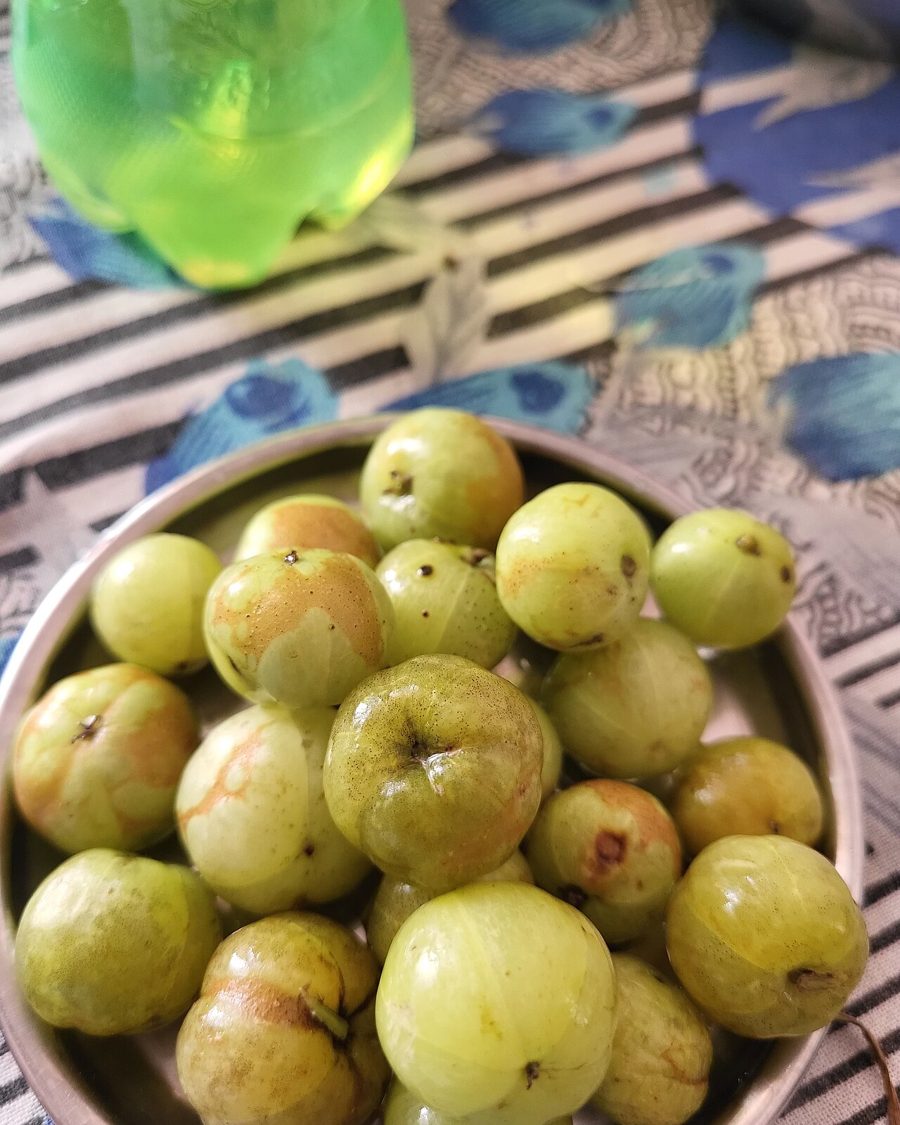 Amla Fruit Powder