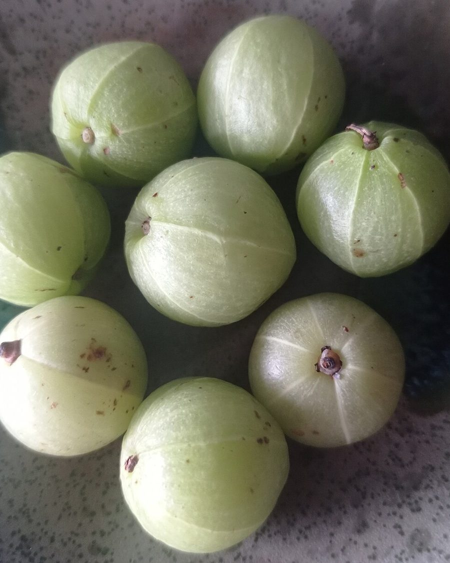 Giloy & Amla Immunity Tablets