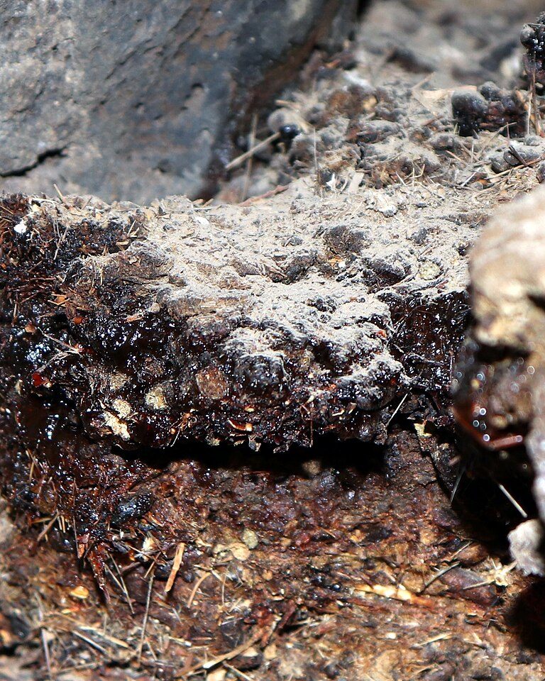 Pure Himalayan Shilajit Resin