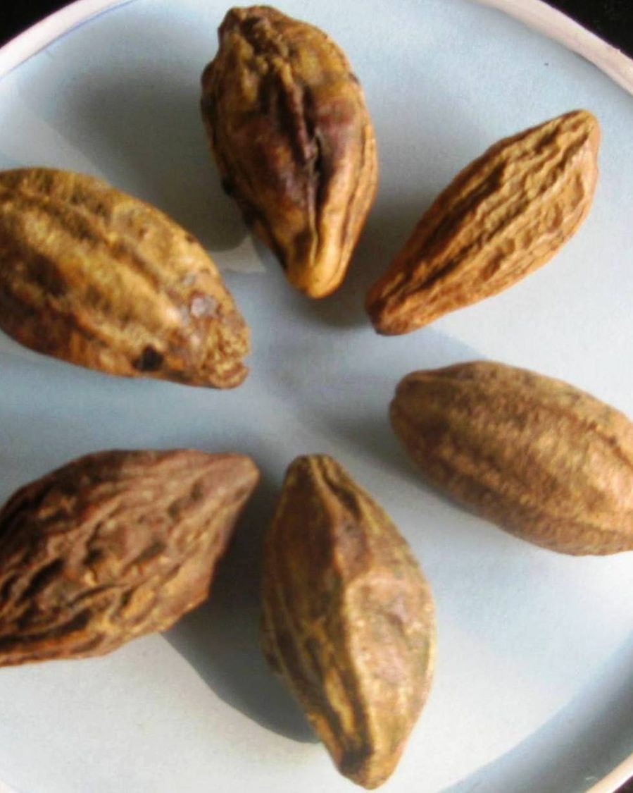 Triphala Tablets